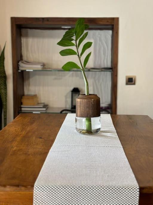 הוילה סנטה קרוז דה טנריף La Casa Vieja מראה חיצוני תמונה