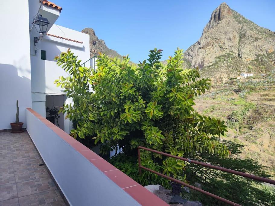 הוילה סנטה קרוז דה טנריף La Casa Vieja מראה חיצוני תמונה